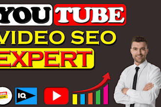 be the top youtube video SEO specialist and organic traffic