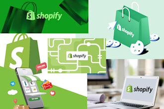 build a professional shopify, drop shipping ecommerce store