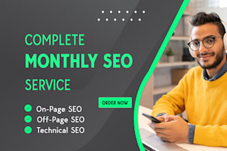 do monthly website SEO service for google rankings