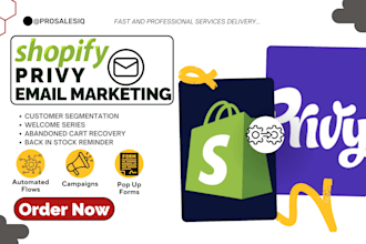 setup shopify email marketing campaign privy pop up newsletters cart abandonment