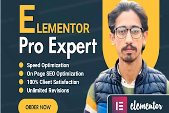 be your wordpress elementor expert developer for elementor websites