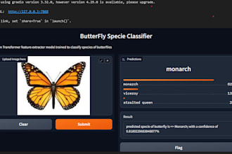 train an image classifier model with pytorch