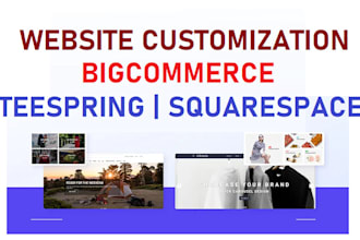 design your business website on teespring , bigcommerce, squarespace