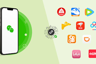 wechat mini program and mini website and wechat mobile application development