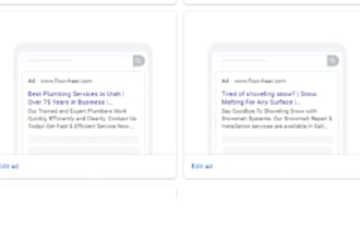 give support with google ads, PPC management, and digital marketing