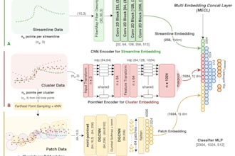 develop advanced deep learning models for ai, nlp, and neuroimaging applications