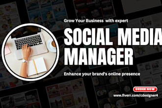 be your social media manager, instagram, facebook, linkedin