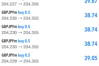 setup forex trading bot, forex ea bot, hft bot, forex bot, expert advisor
