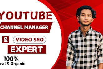 do the best youtube video SEO expert optimization and channel growth manager