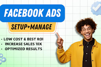 setup fb ads campaign, meta ads, fb advertising, facebook ads