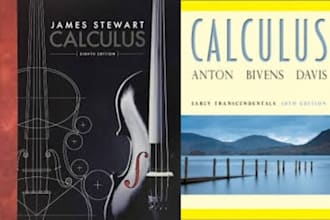 provide you solutions to calculus problems