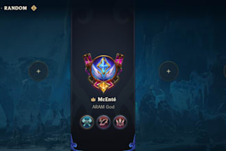 coach or play aram games with you on na or euw