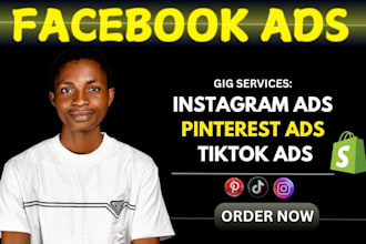 create high converting facebook and instagram ads campaign to boost shopify sale
