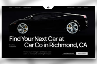 craft a high performance car detailing or dealership website