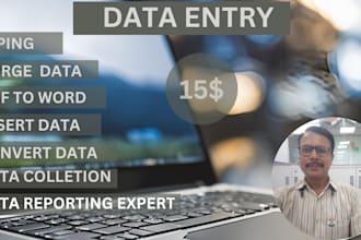 provide accurate data entry and excel spreadsheet services
