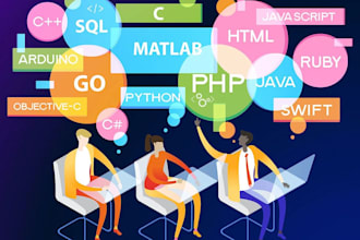 sql python java cpp web database bot programming script project developer, tutor