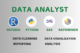 do data cleaning, analysis, visualization using r, rstudio, python, sas, spss