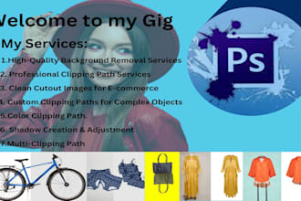 do background removal and clipping  fast delivery service