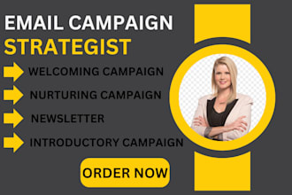 write marketing email campaign or sales copy that highly convert