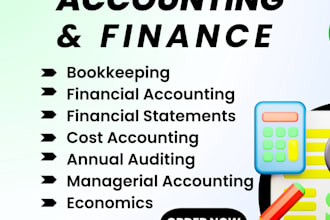 handle accounting tasks, essays, business plan, and case studies