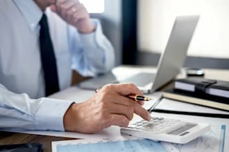 assist in tax consulting, import export incentive services
