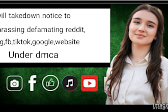 takedown notice copyright content reddit,ig,fb,yt,tiktok,google,websites by dmca