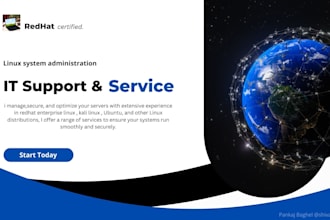 provide professional IT support for your linux systems