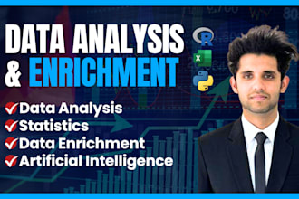 do data analysis and data enrichment in 24 hours