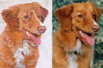 do pet portrait embroidery digitizing and convert photo to dst file