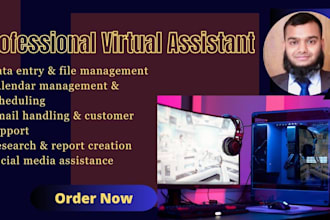 be versatile and supportive VA for efficient project management