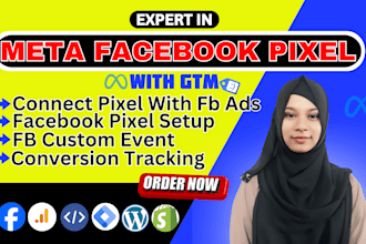 setup meta facebook pixel, conversion API, tiktok pixel, fix pixel  wordpress