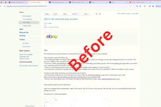 be your ebay mc011 restriction expert reinstatement and full account recovery