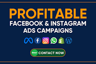 setup highly converting profitable fb and ig ads campaigns for your business