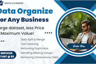 clean, organize, split your large data for your business
