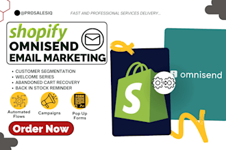 setup custom shopify omnisend email marketing automation sms push notifications