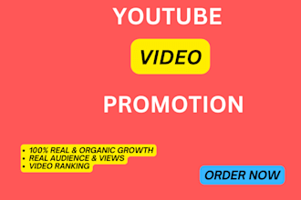 do organic youtube video promotion