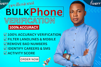 verify bulk phone numbers for accurate SMS marketing