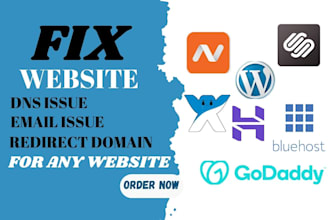 fix email issue, dns issues, website issues,  redirect domain for any website