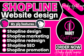 build shopify dropshipping website shopify store design redesign print on demand