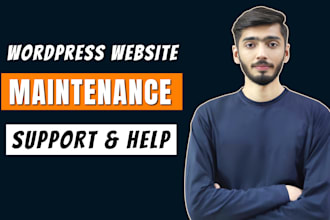 provide wordpress website maintenance, support, hosting and help monthly