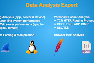analyze files, logs or network packets for insights
