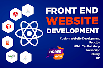 develop custom website with react laravel and nodejs