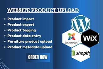 bulk product SEO listing, import, export, tagging, data entry on shopify, etsy