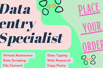 give the data entry service with unlimited revision