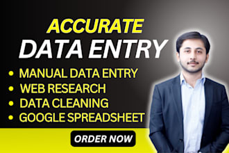 provide fast and reliable data entry, web research, and ms excel data services