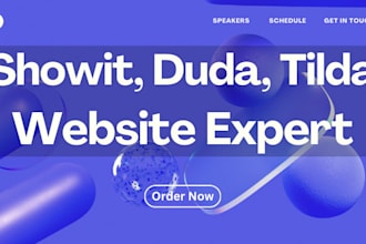 clone redesign showit duda tilda wix squarespace website SEO google ranking