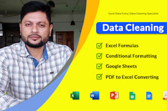 do data cleaning, data formatting, PDF to excel