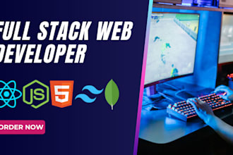 be full stack web developer or mern stack developer