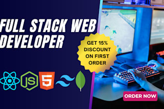 be full stack web developer or mern stack developer