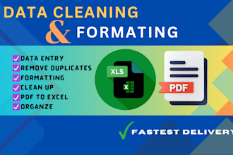 do data clean, format, marge, split excel data